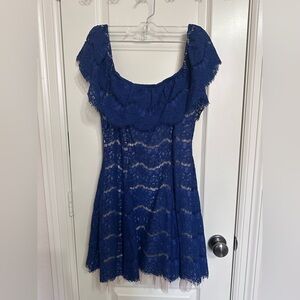 Francesca's Collections Navy Lace Dress